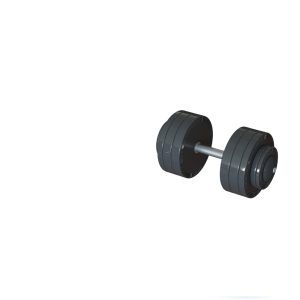 Discs, bars and dumbbells